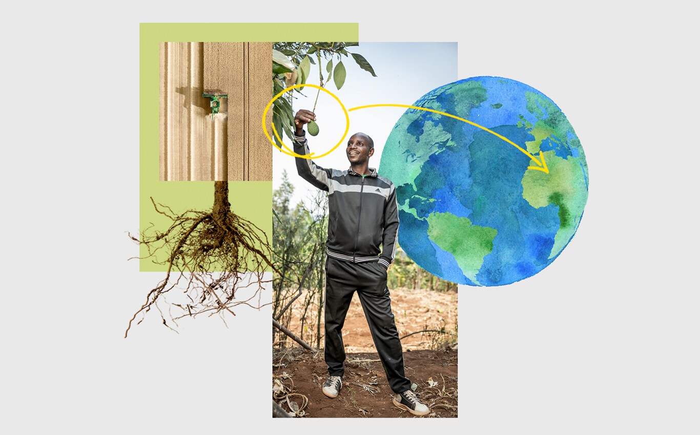 Fugleperspektiv av en innhøstingsmaskin fra John Deere i en åker, en person som tar tak i en avokado som henger på et tre, og en pil som peker mot Afrika på en illustrasjon av jorda.