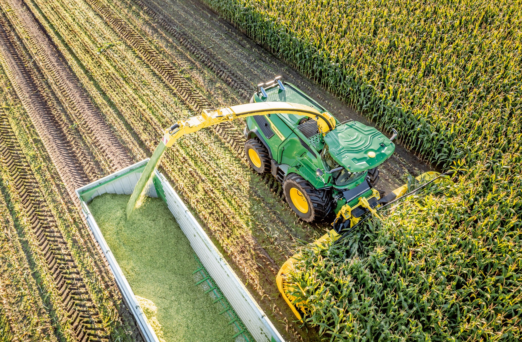 Flyfoto av en grønn John Deere-fôrhøster som høster mais og overfører kuttet silofôr til en tilhenger i en stor maisåker.